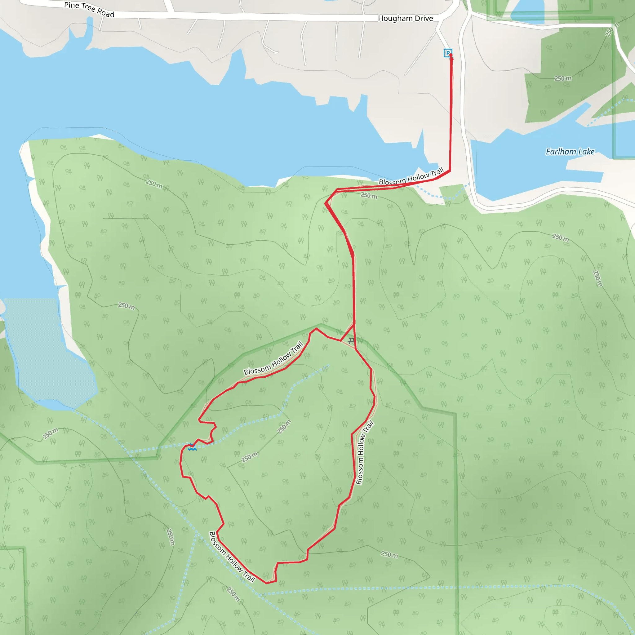 Blossom Hollow Loop Trail mobile static map