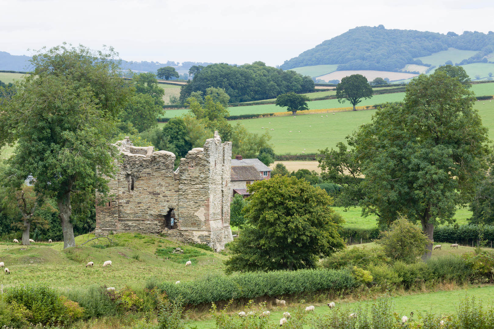 An image depicting the trail Bishop's Castle Ring Circular Walk and its surrounding area.