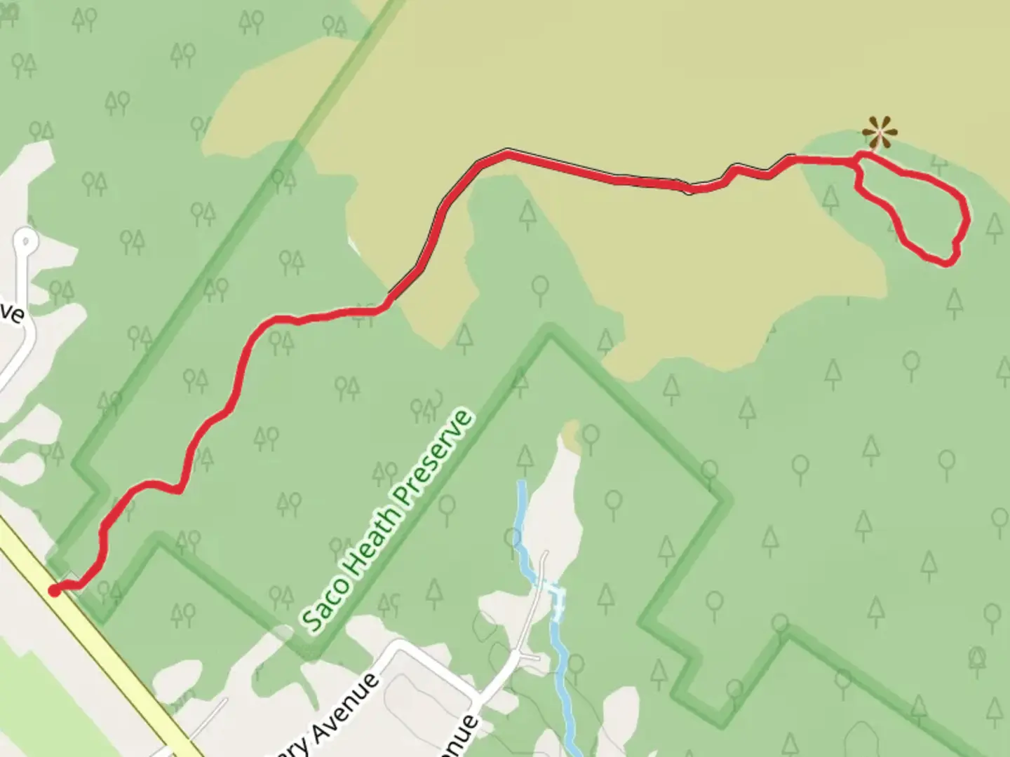 An image depicting the trail Saco Heath Boardwalk Trail and its surrounding area.