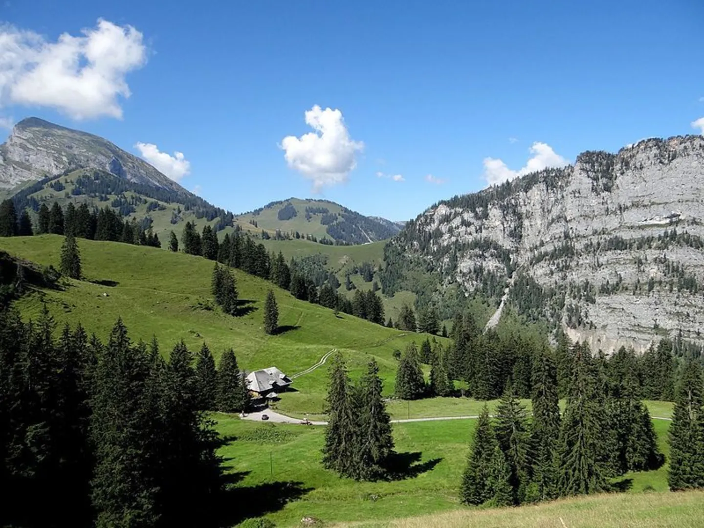 An image depicting the trail Geopfad Wiriehorn and its surrounding area.