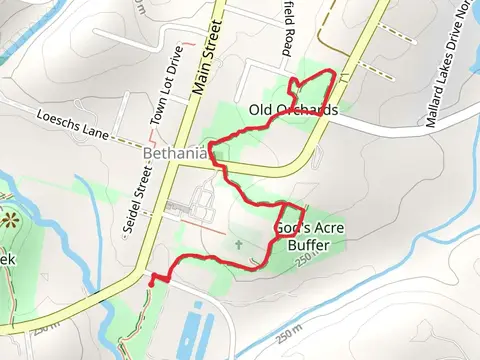 Graveyard Hill and Orchard Loop Trail