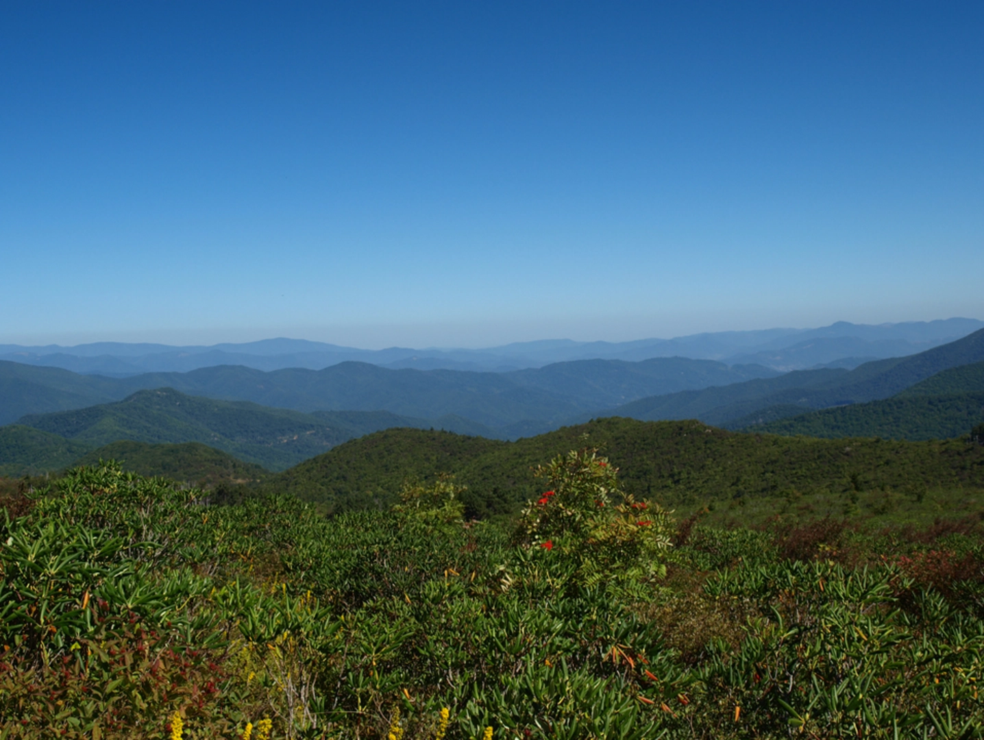 An image depicting the trail Black Mountain Trail and its surrounding area.