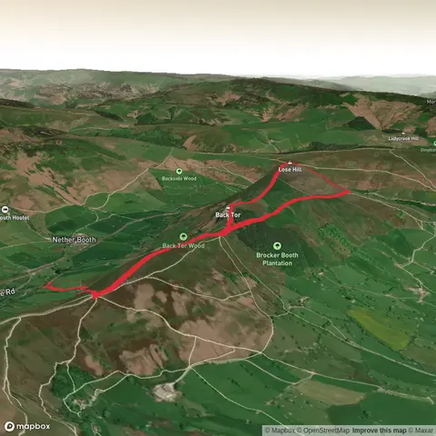 Back Tor from the Farm - forest section