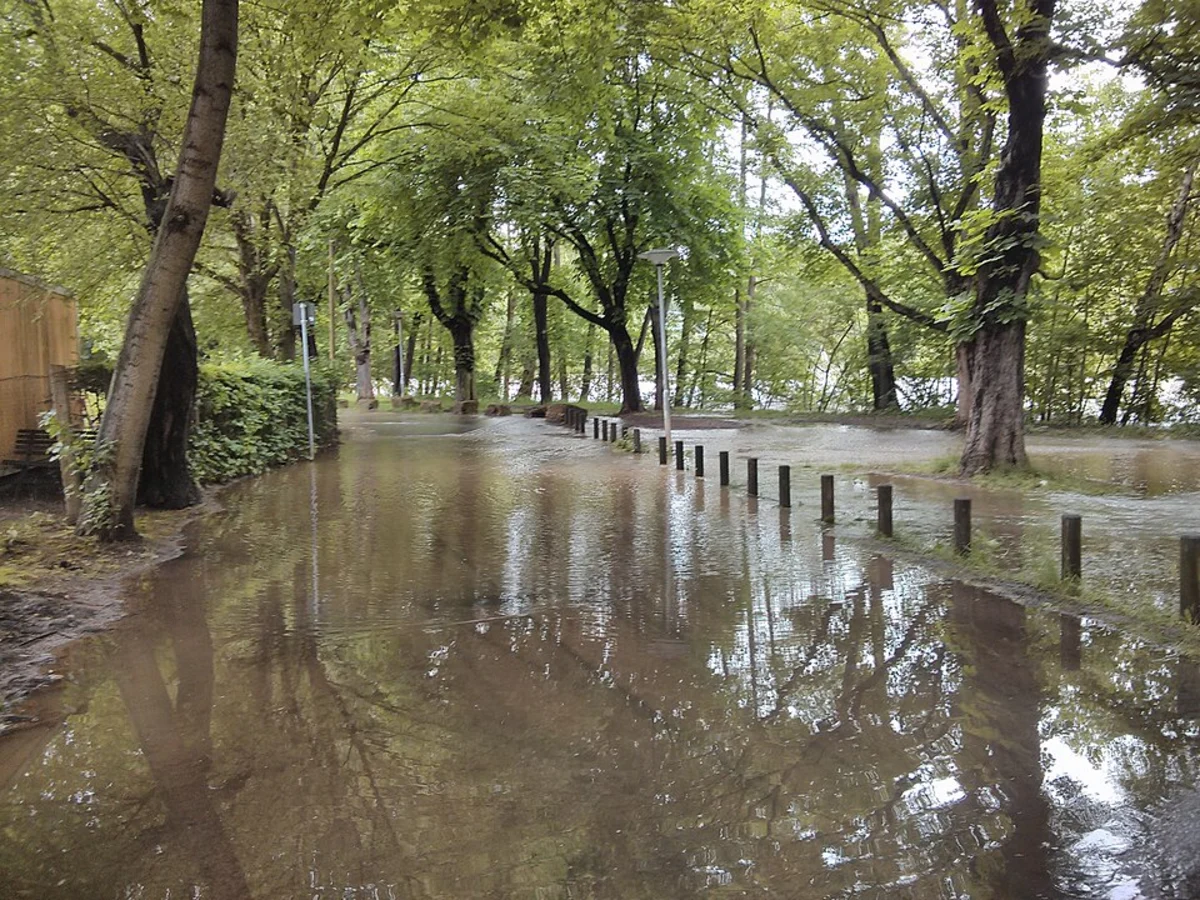 Volkspark Oberaue Loop