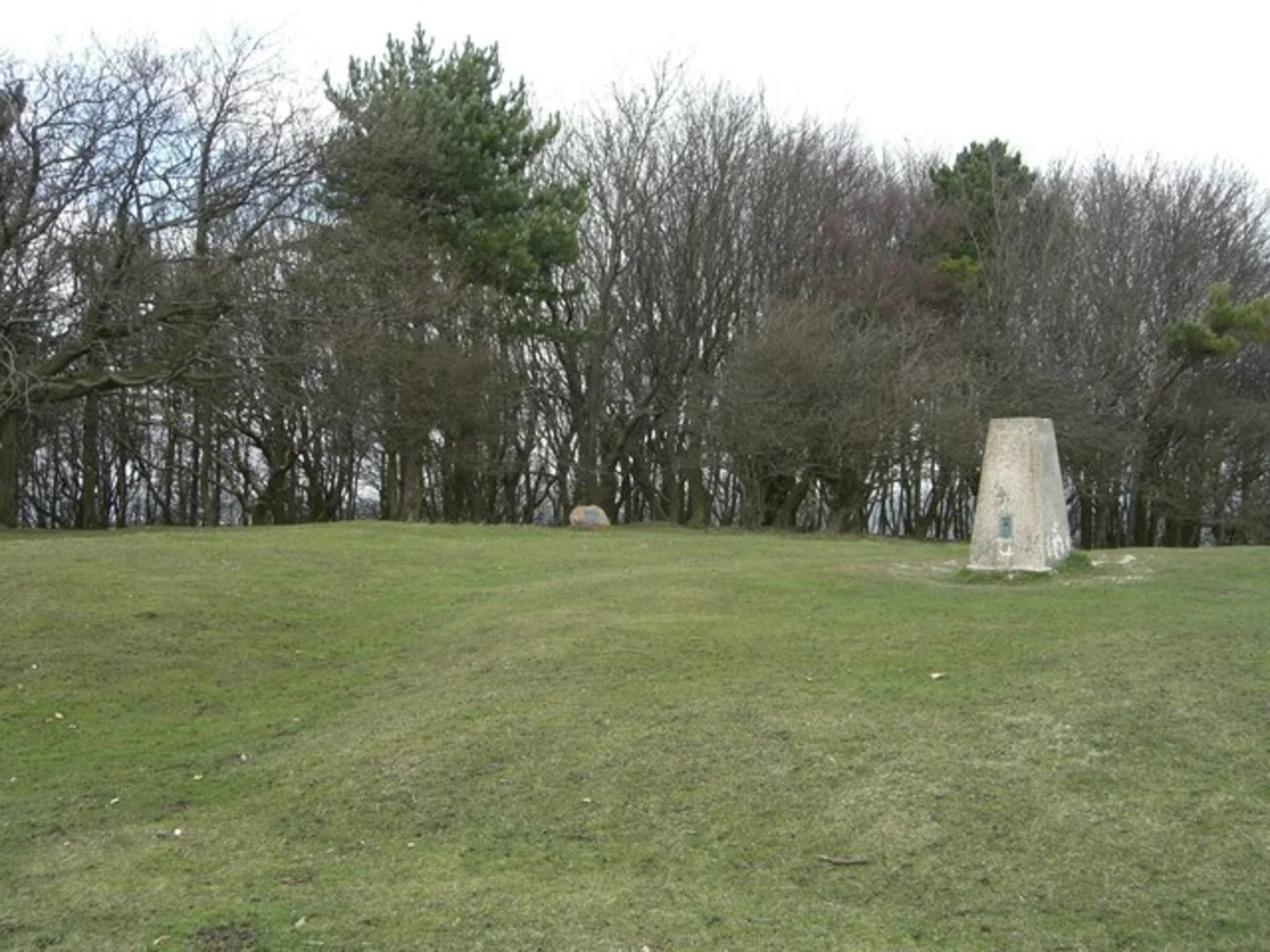 An image depicting the trail Mount Harry Loop and its surrounding area.