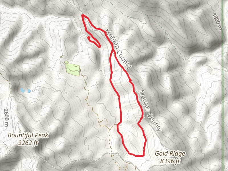 Gold Hill Trail and Francis Peak Road Loop