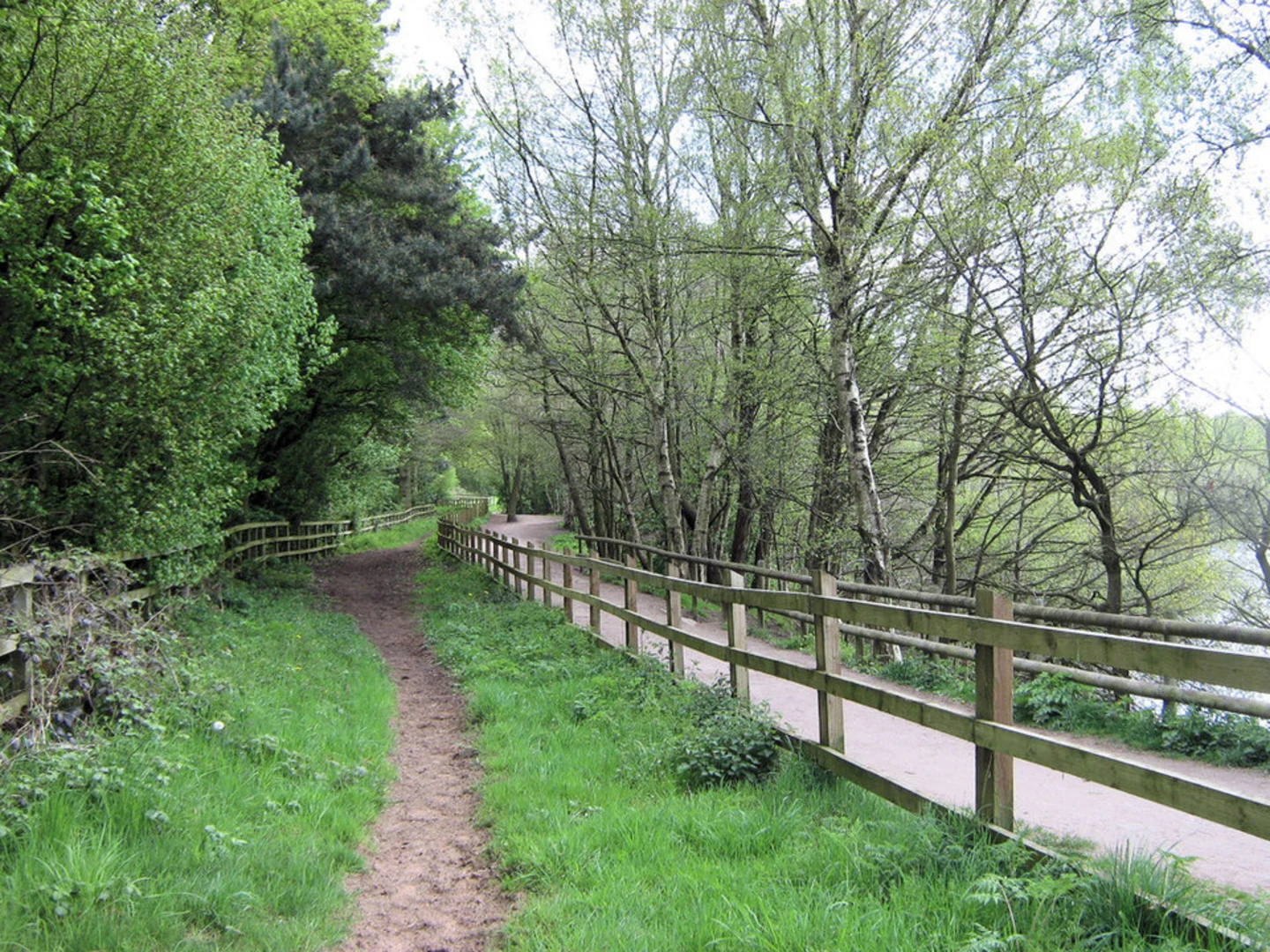 An image depicting the trail Brereton Heath Country Park Loop and its surrounding area.