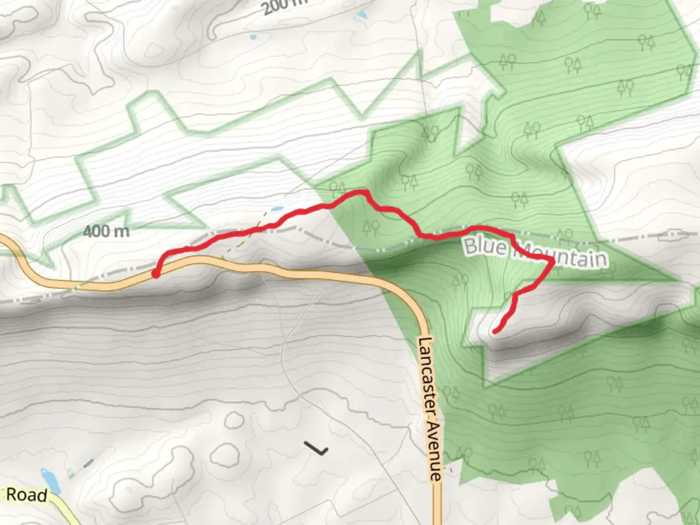 An image depicting the trail Round Head via Appalachian Trail and its surrounding area.