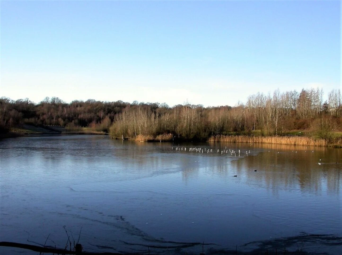 An image depicting the trail Southwater Country Park Loop and its surrounding area.