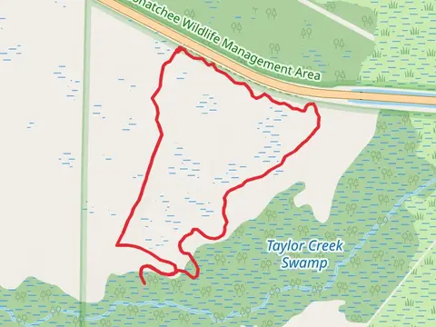 Tosohatchee WMA White Loop Trail