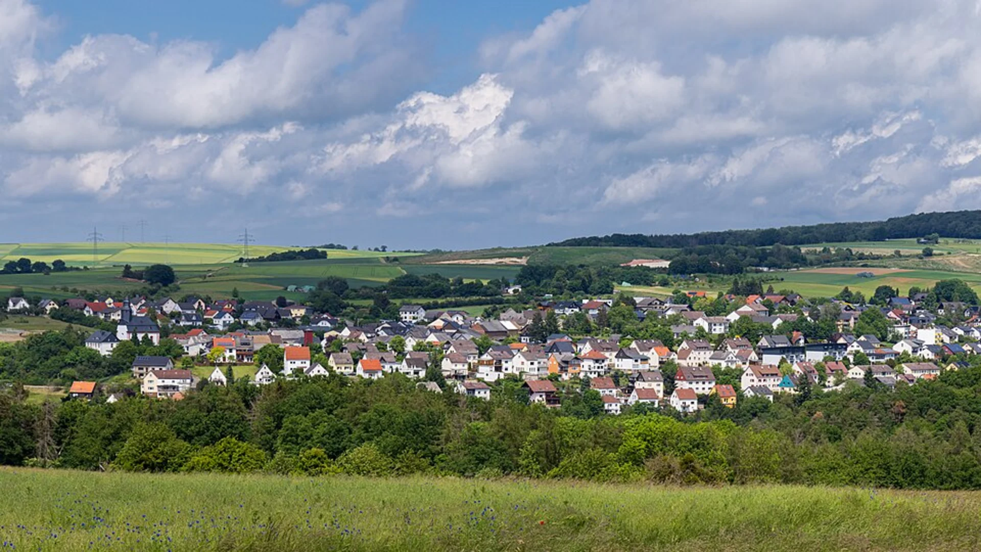 An image depicting the trail Mahndorfer See Loop and its surrounding area.