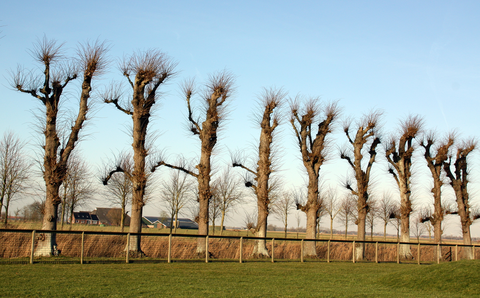 De groeve, Westeremden and Cremersheerd Loop
