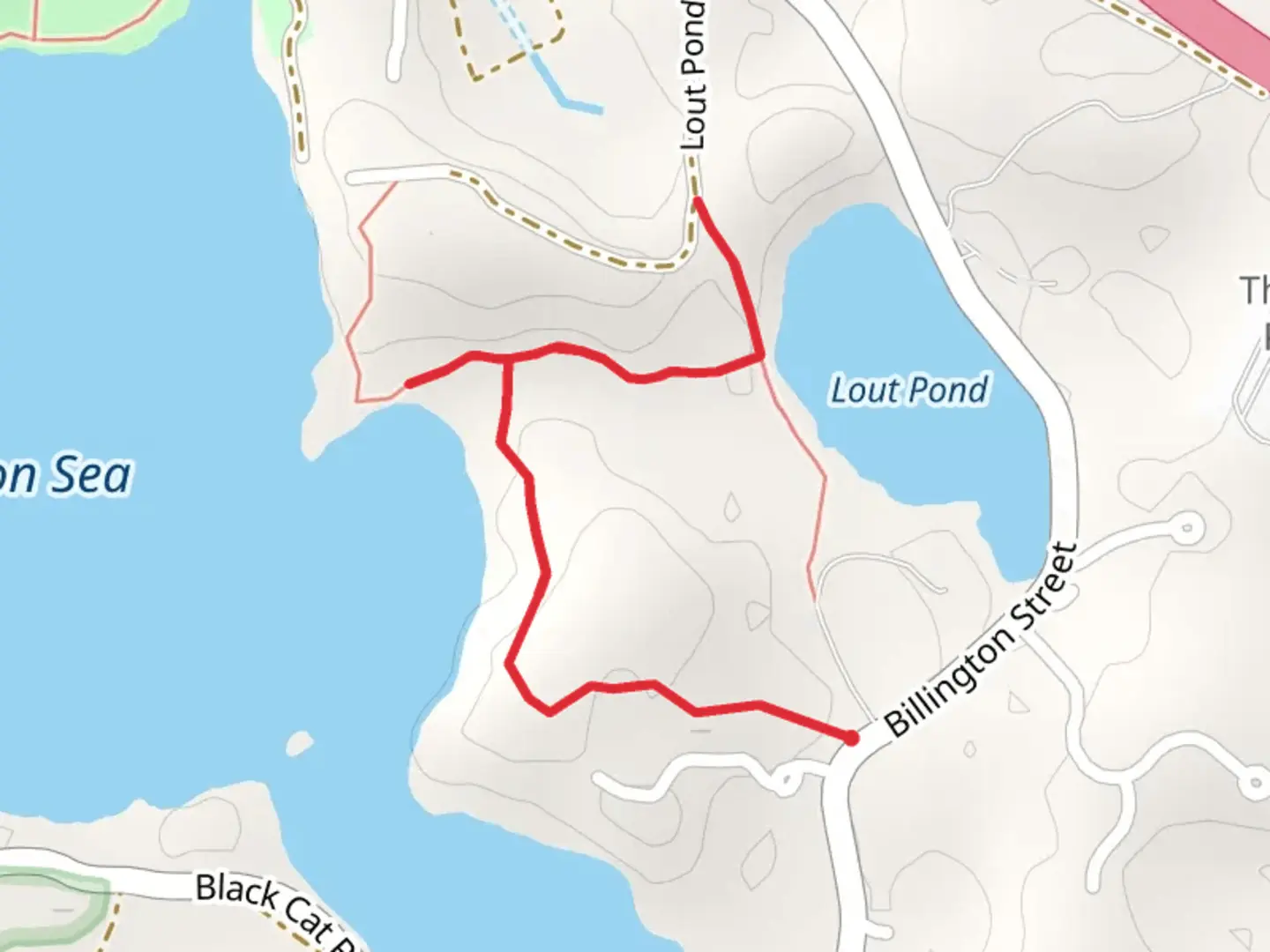 An image depicting the trail Lout Pond and its surrounding area.