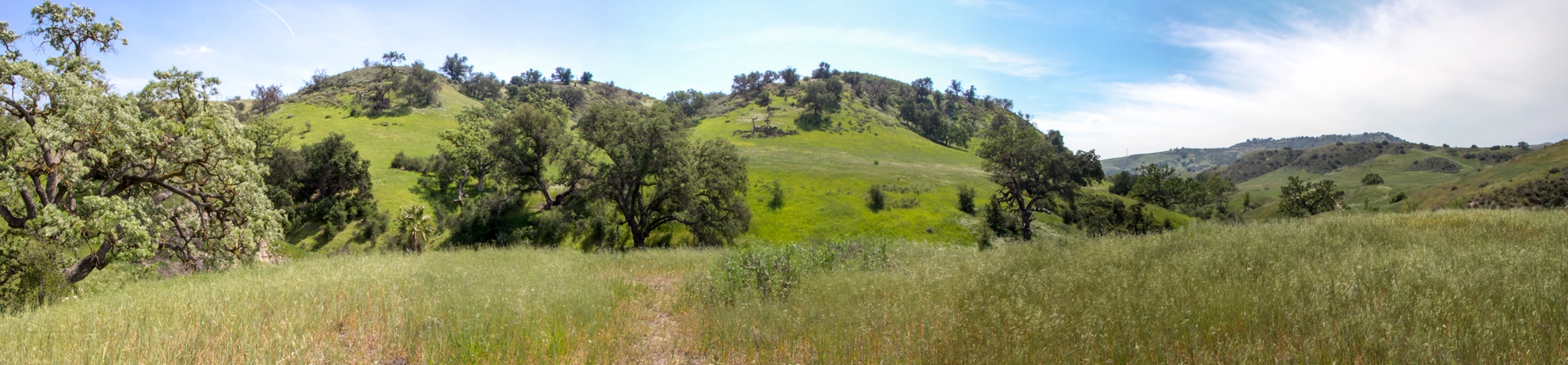 An image depicting the trail East Las Virgenes Canyon Trail - Las Virgenes Road and its surrounding area.