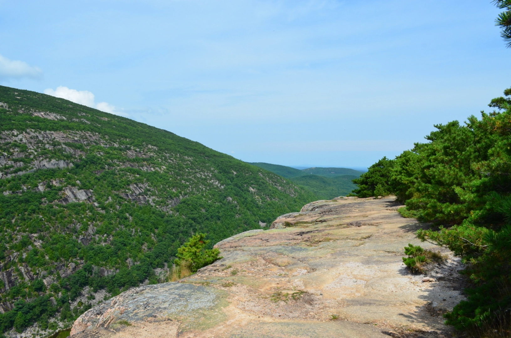 An image depicting the trail Champlain Mountain and Schooner head Path Loop and its surrounding area.