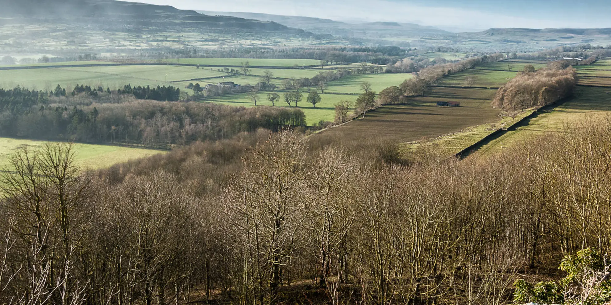 An image depicting the trail Leyburn Shawl - Tullis Cote and Wensley Park and its surrounding area.