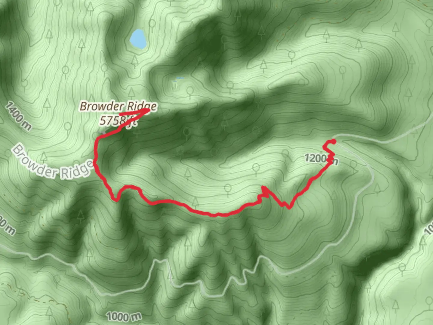 An image depicting the trail Browder Ridge via Gate Creek Trail and its surrounding area.