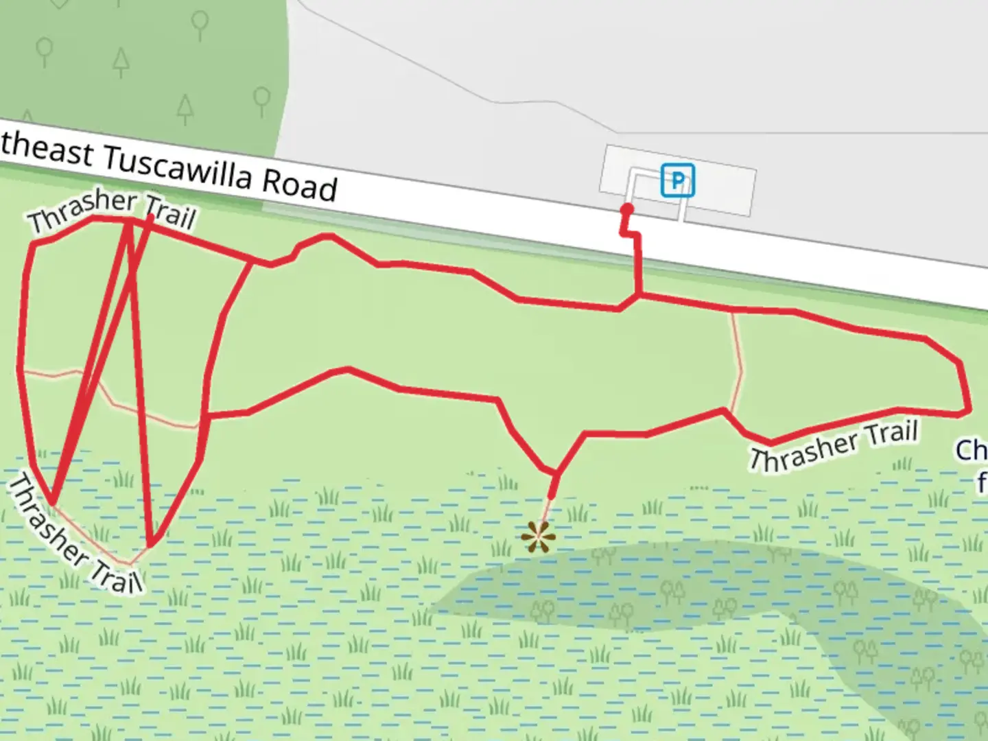 An image depicting the trail Thrasher Loop Trail and its surrounding area.