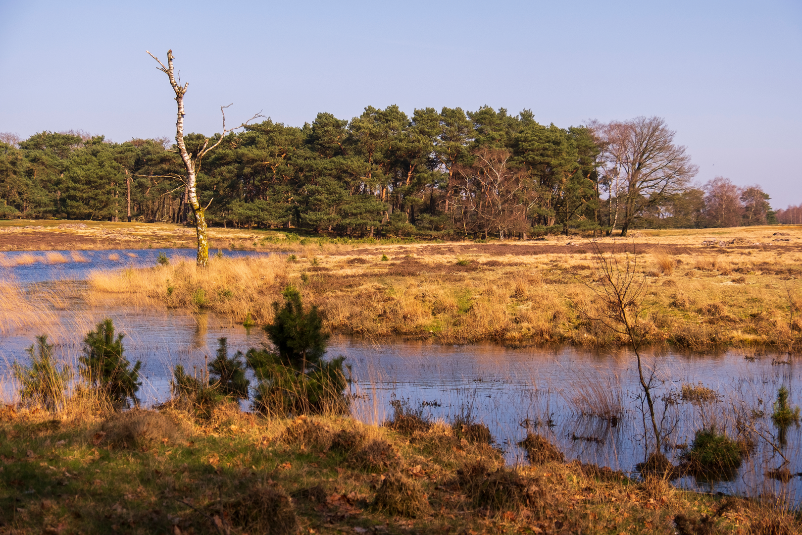 An image depicting the trail Lange Bleek, Landgoed De Pan and Strabrechtsche Heide Loop and its surrounding area.