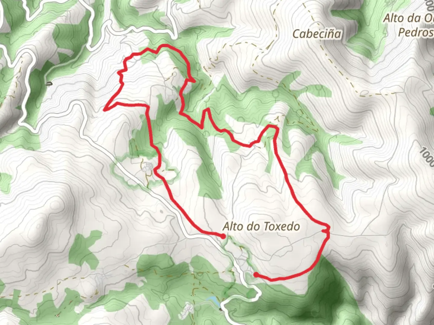 An image depicting the trail Rota dos Soutos de Cesuris PR G 137 and its surrounding area.