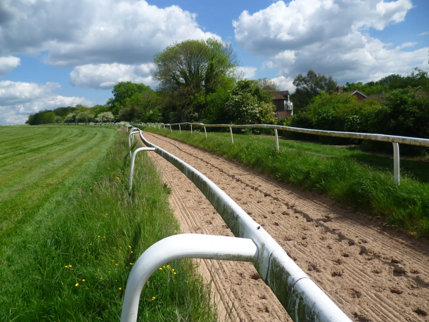 An image depicting the trail Epsom Downs and The Warren Loop and its surrounding area.