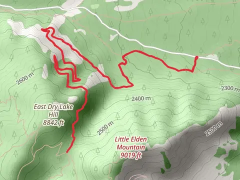 Little Bear Trail via Little Elden Trail