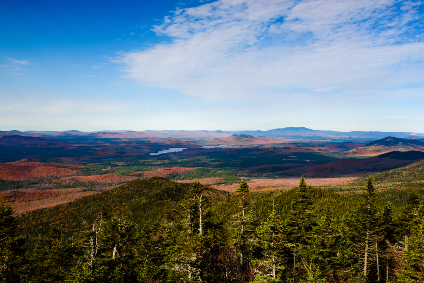 An image depicting the trail McKenzie Mountain Trail Loop - Whiteface and its surrounding area.