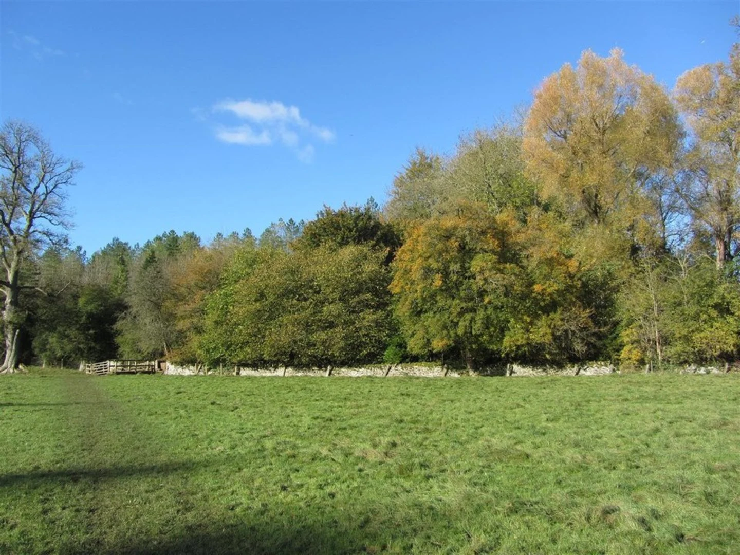 An image depicting the trail Oxhill Wood and River Coln Loop and its surrounding area.