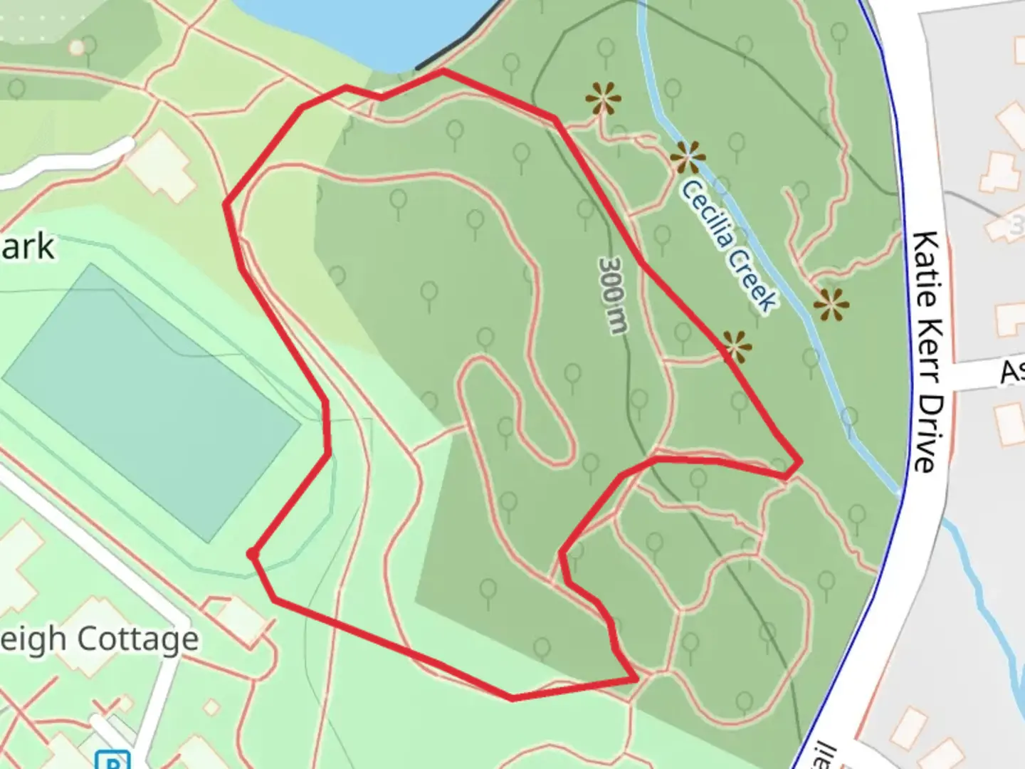 An image depicting the trail Cecilia Creek Loop and its surrounding area.