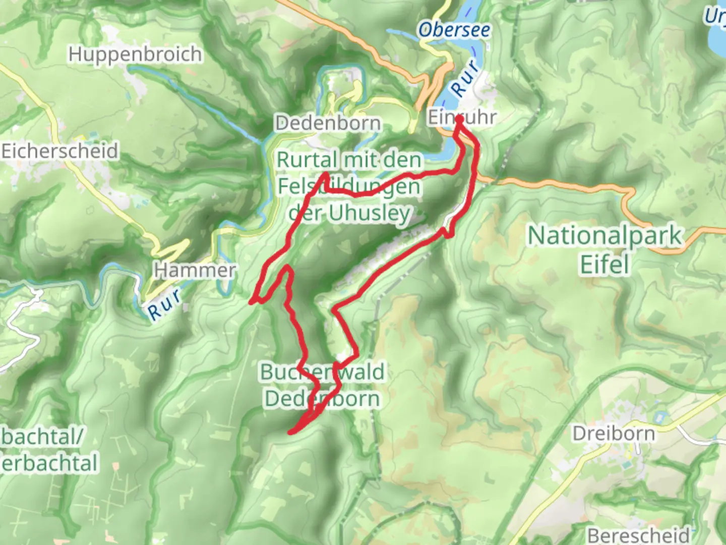 An image depicting the trail Einruhr and Buchenwald Dedenborn Loop and its surrounding area.