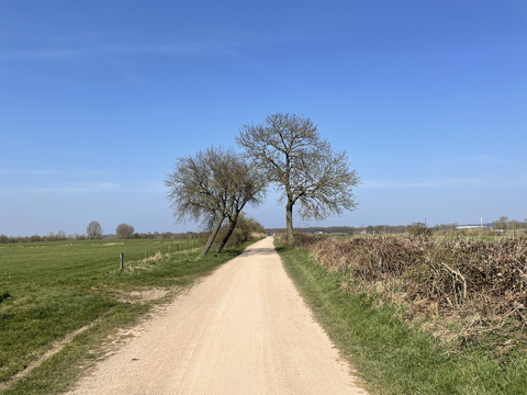 Dommelplantsoen, De Vleut and Oud - Gestel Loop