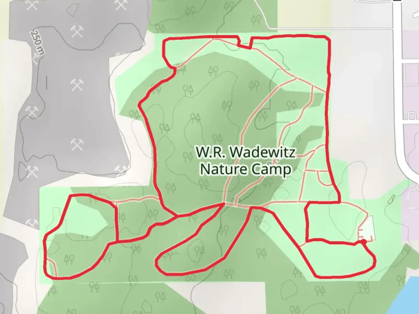 An image depicting the trail W R Wadewitz Nature Camp Loop and its surrounding area.