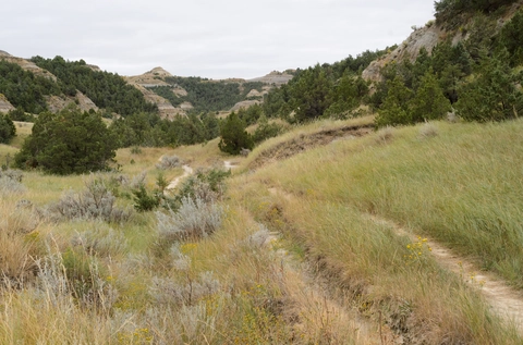 An image depicting the trail Caprock Coulee Loop Trail and its surrounding area.