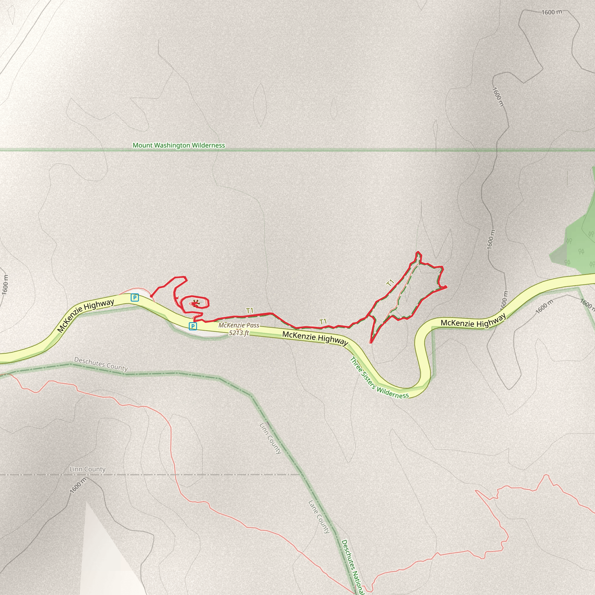McKenzie Pass mobile static map