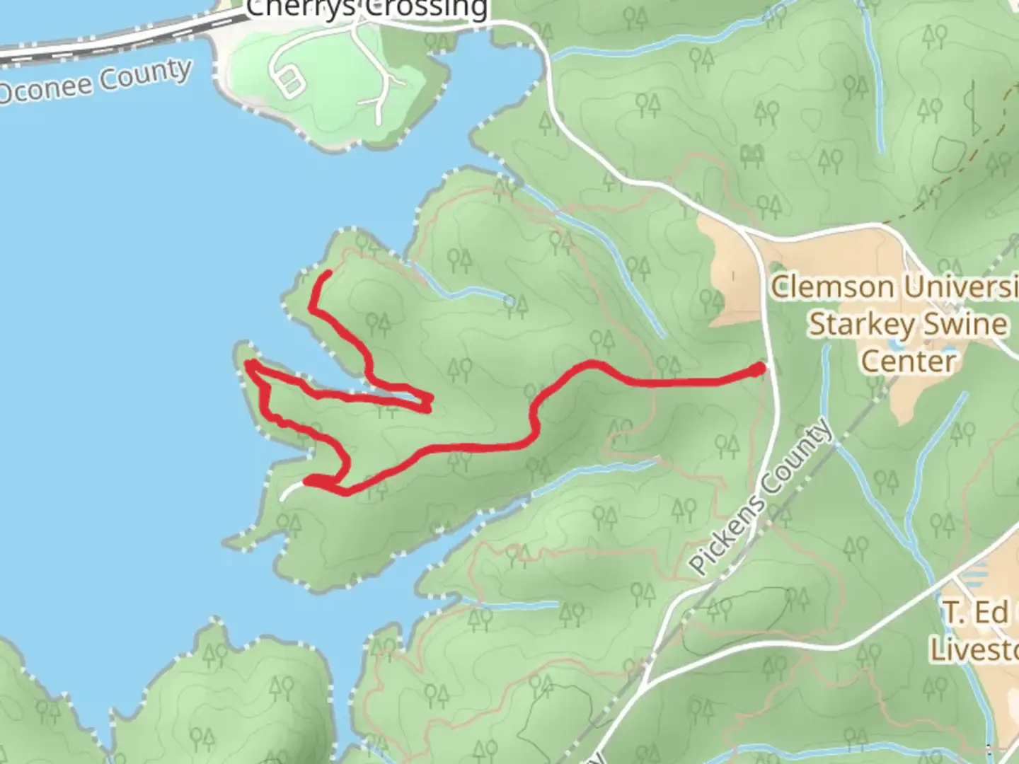 An image depicting the trail Seed Orchard Road Trail and its surrounding area.