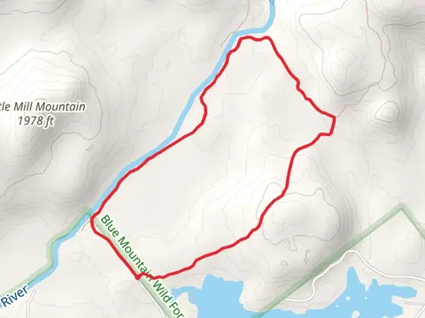 Adirondack Lake and Cedar River Loop