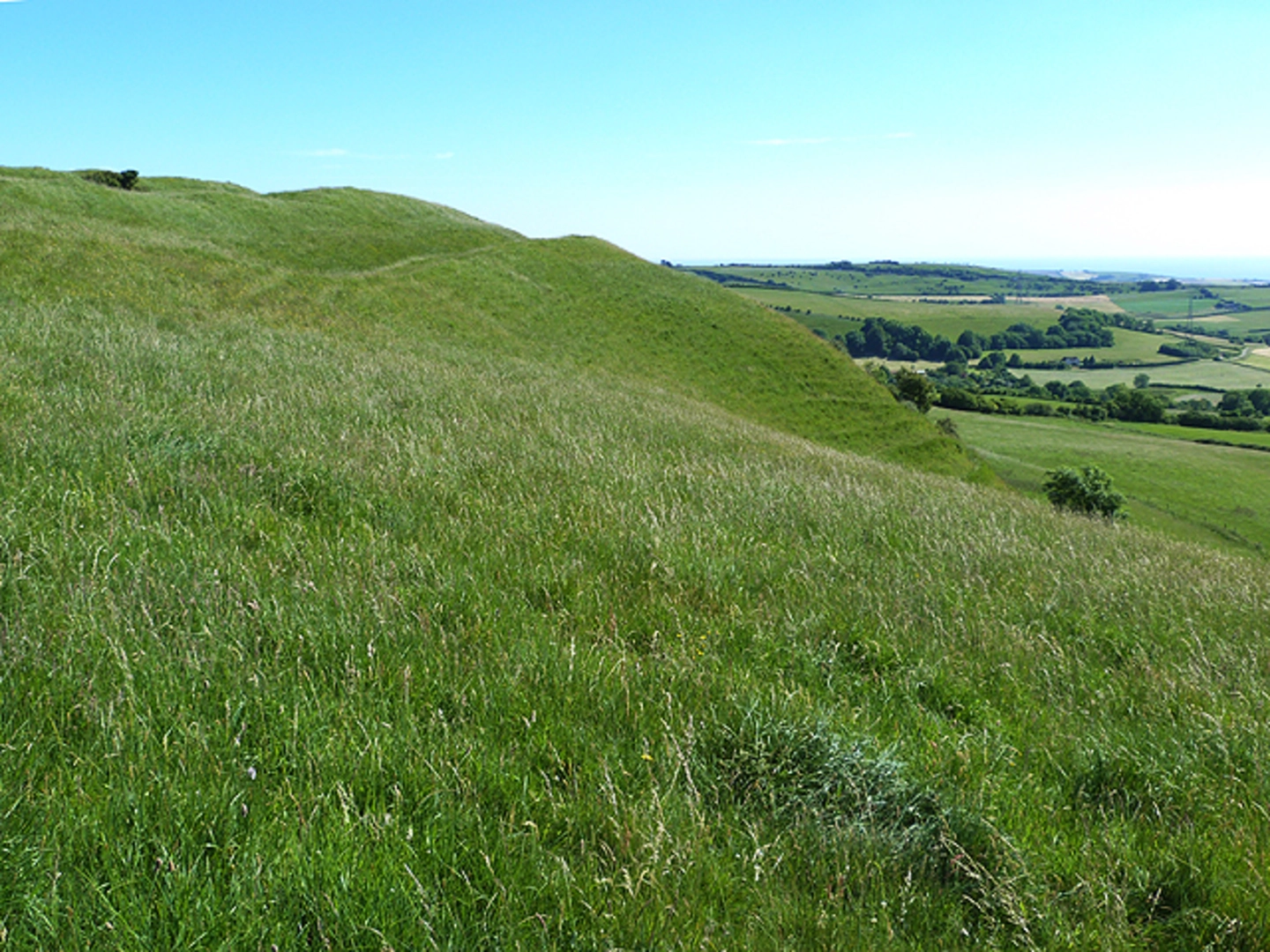 An image depicting the trail Walk around Eggardon Hill Fort and its surrounding area.
