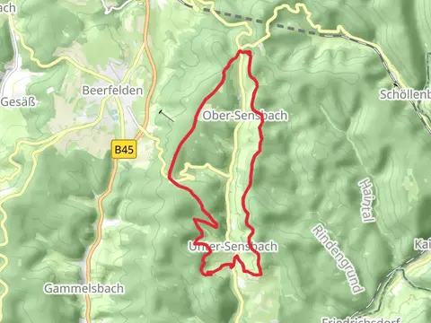 Hornisseberg and Selsersberg Loop