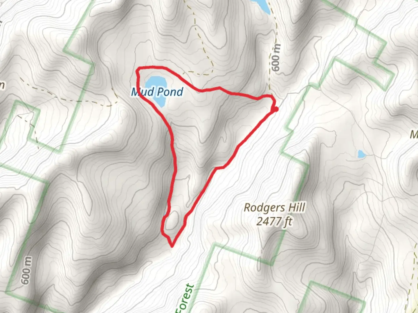 An image depicting the trail Mud Pond Loop and its surrounding area.