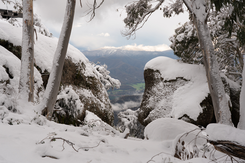 An image depicting the trail Mount Buffalo Wilhelmina Spur Trail and its surrounding area.