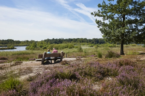 Esscheweg, De Schoonberg and De Gilders Loop
