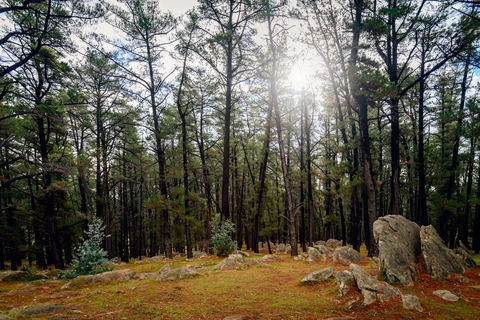 An image depicting the trail Heysen Trail Loop through Mount Crawford and its surrounding area.