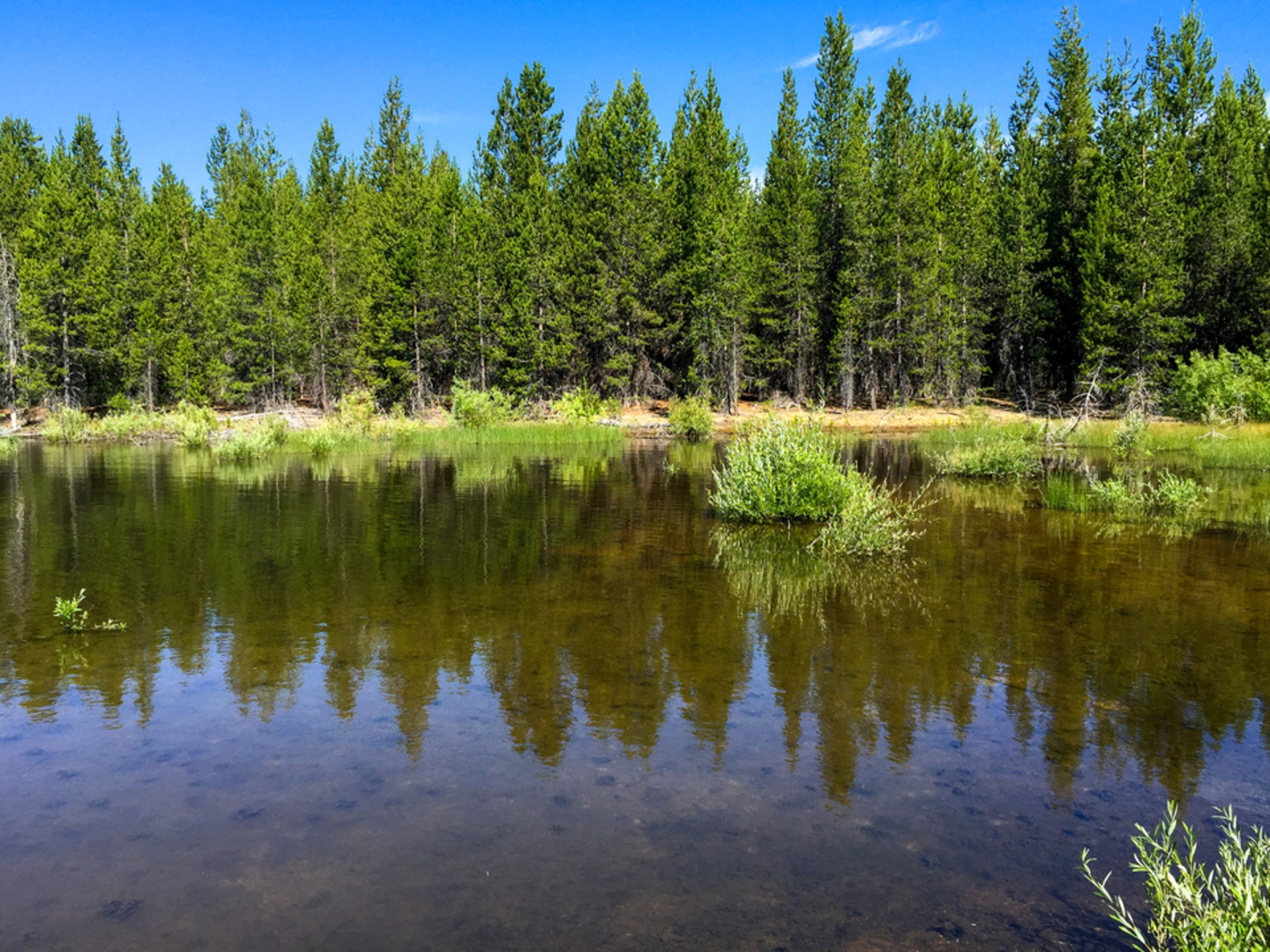 An image depicting the trail Pretty Lake and Fawn Lake Trail and its surrounding area.