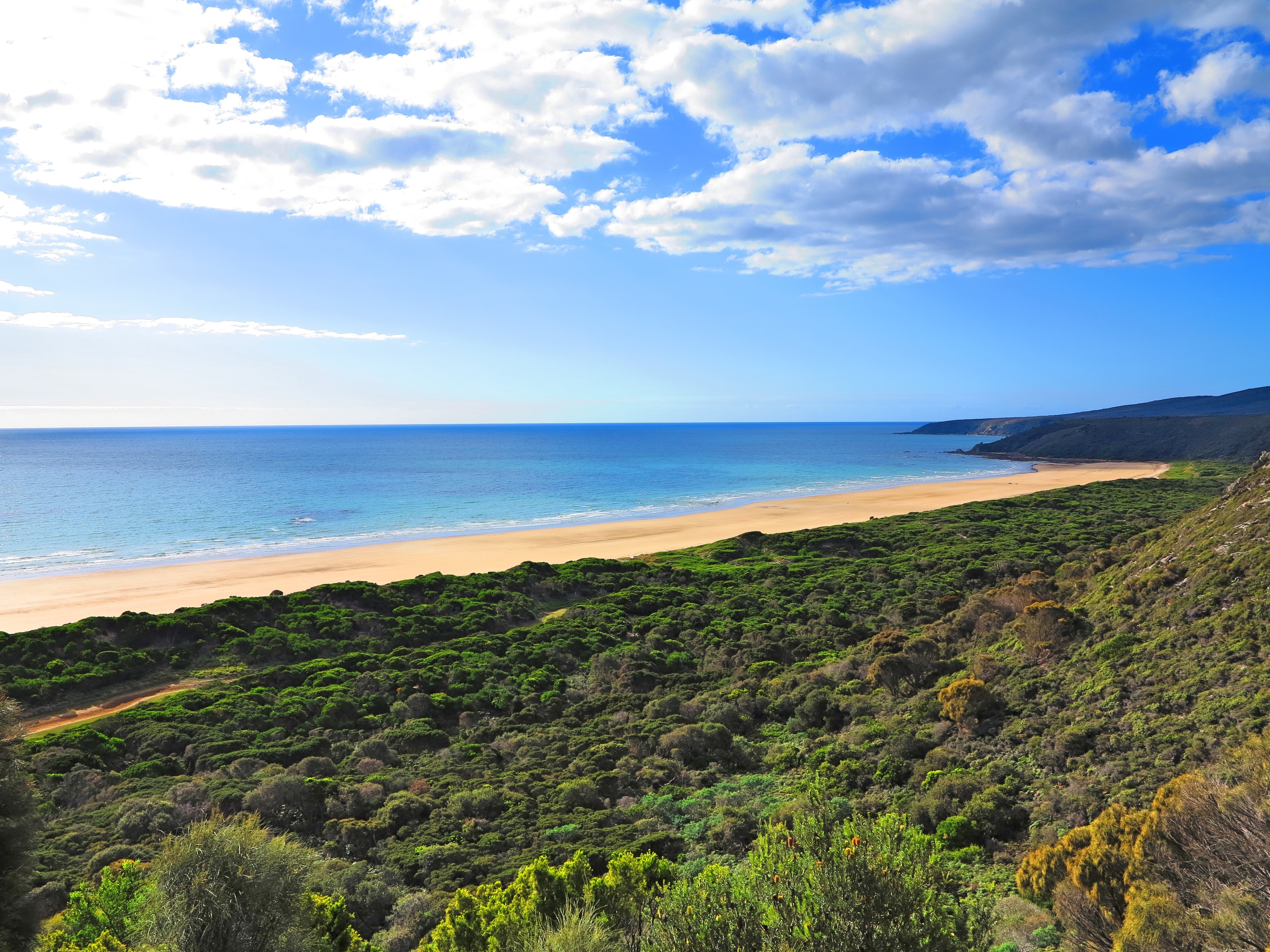 An image depicting the trail Narawntapu National Park and its surrounding area.