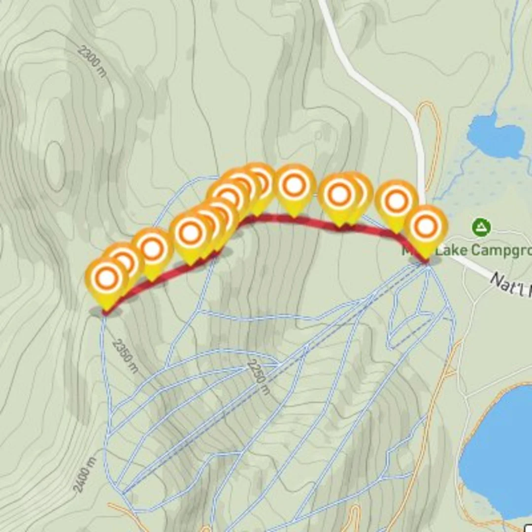 An image depicting the trail Ski- Bert's Run and its surrounding area.