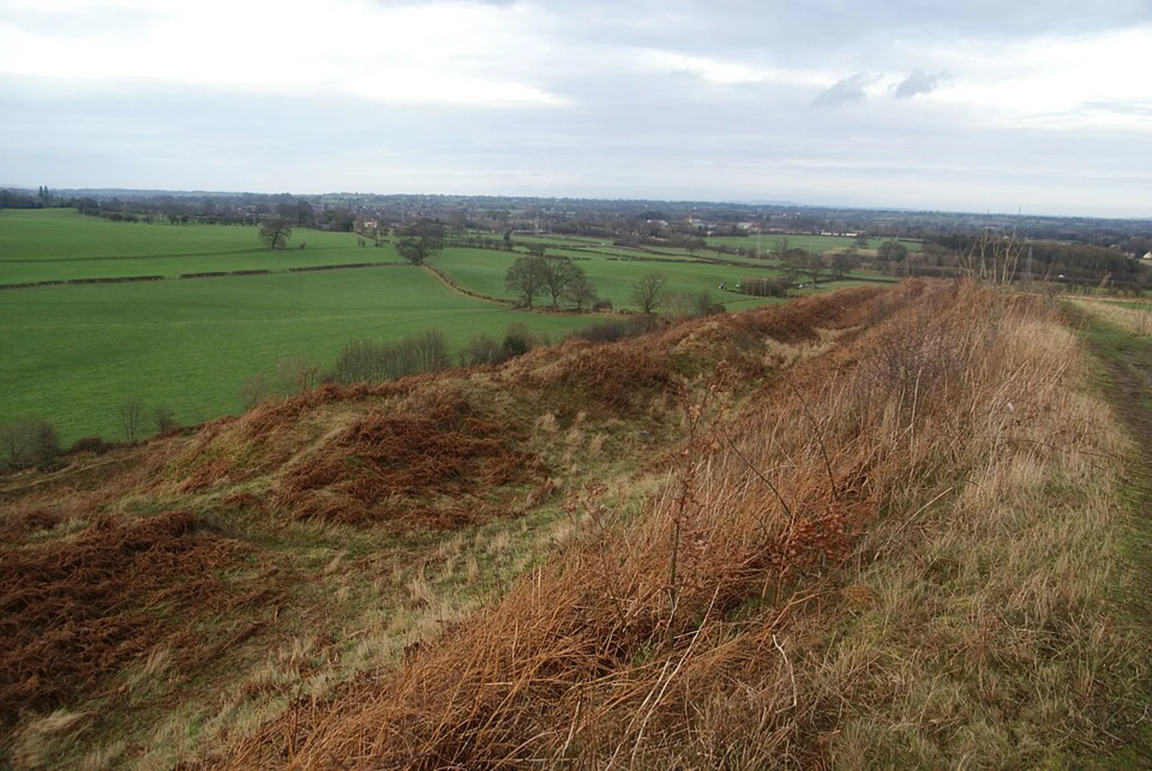 An image depicting the trail Oswald's Trail and its surrounding area.