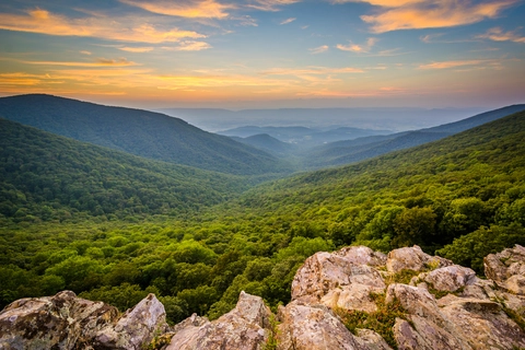 An image depicting the trail Crescent Rock Overlook via Crescent Rock Trail and Limberlost Trail and its surrounding area.