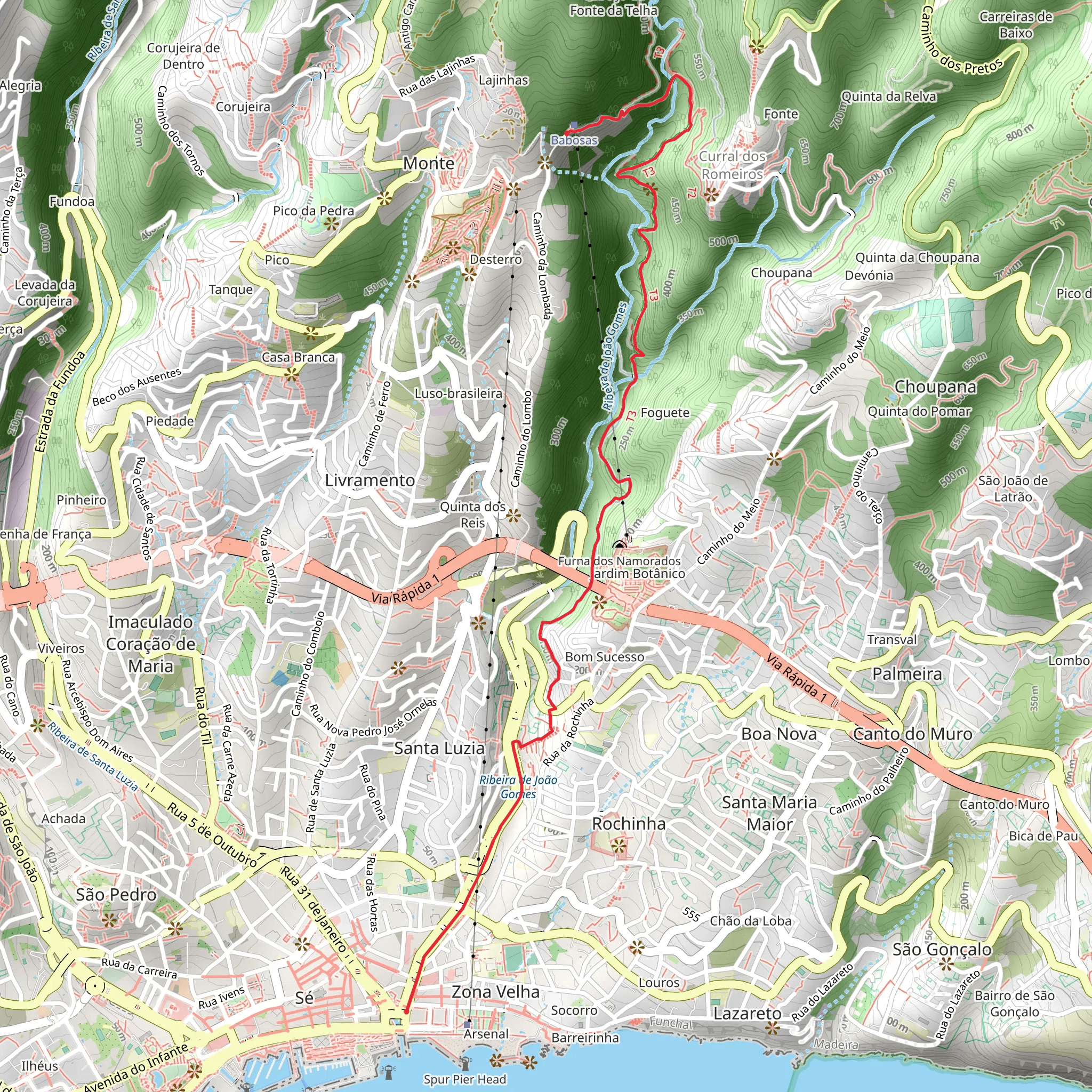Funchal to Monte Walk mobile static map