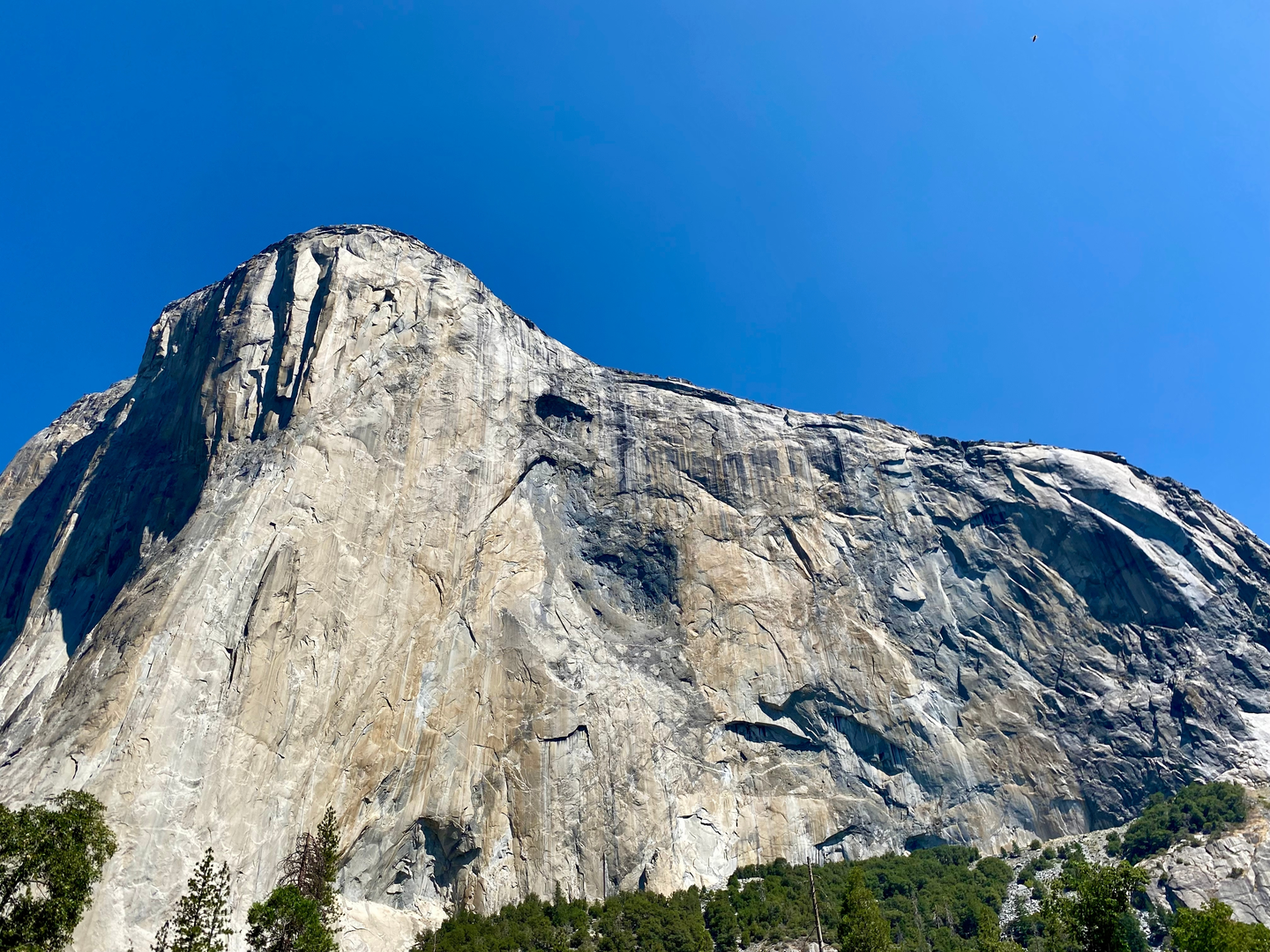 An image depicting the trail El Capitan via Old Big Oak Flat Road Trail and its surrounding area.