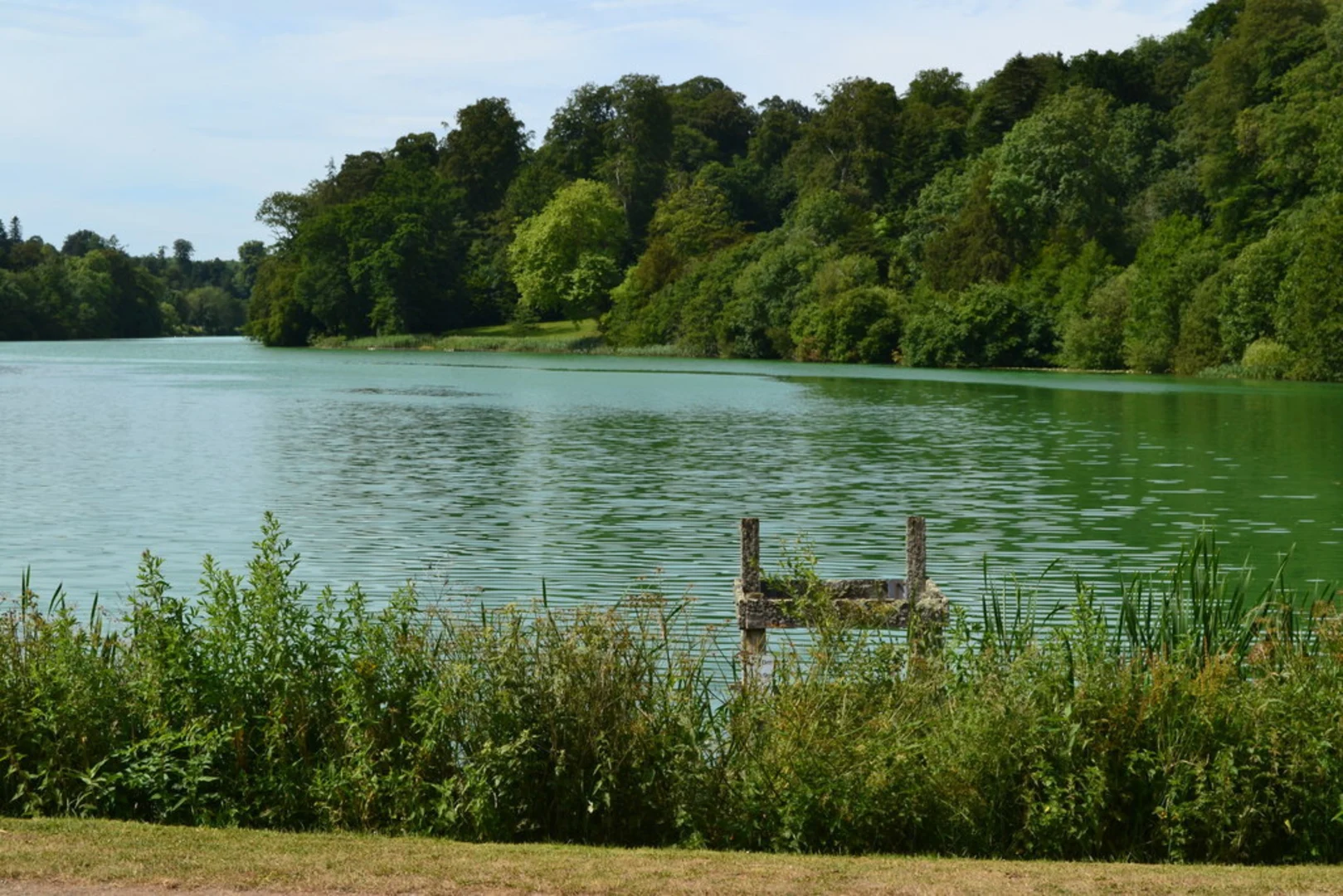An image depicting the trail Fonthill Estate Loop and its surrounding area.